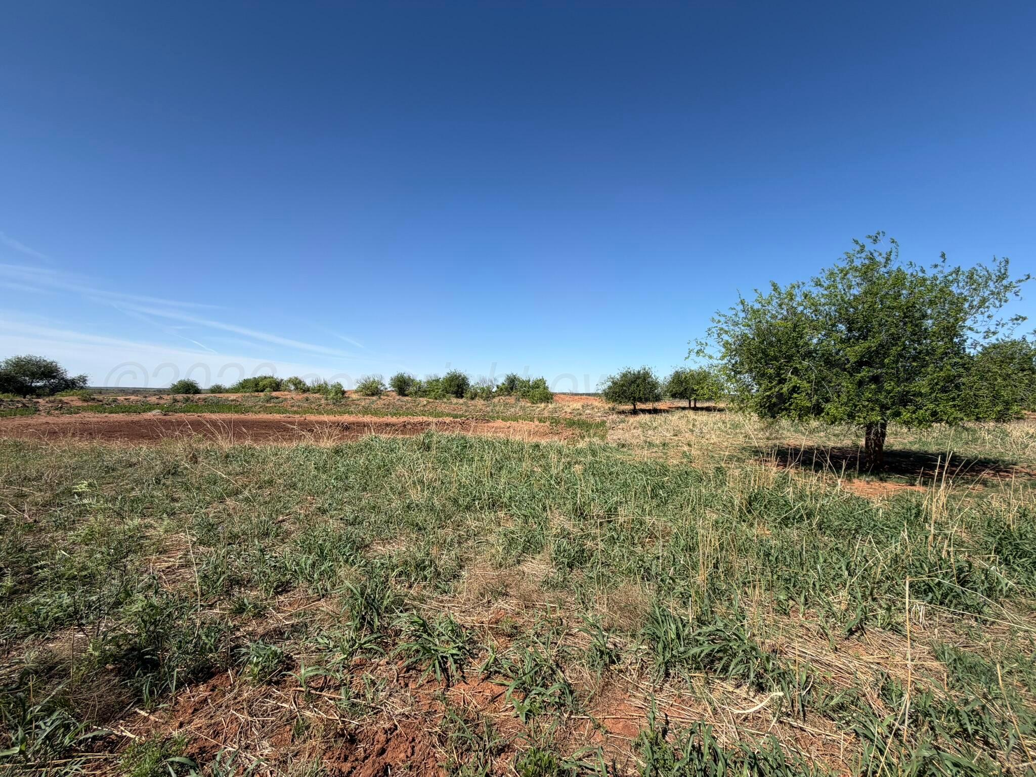 324 Tbd County Road Paducah, TX 79248 - Photo 28 of 34 IMG_0201