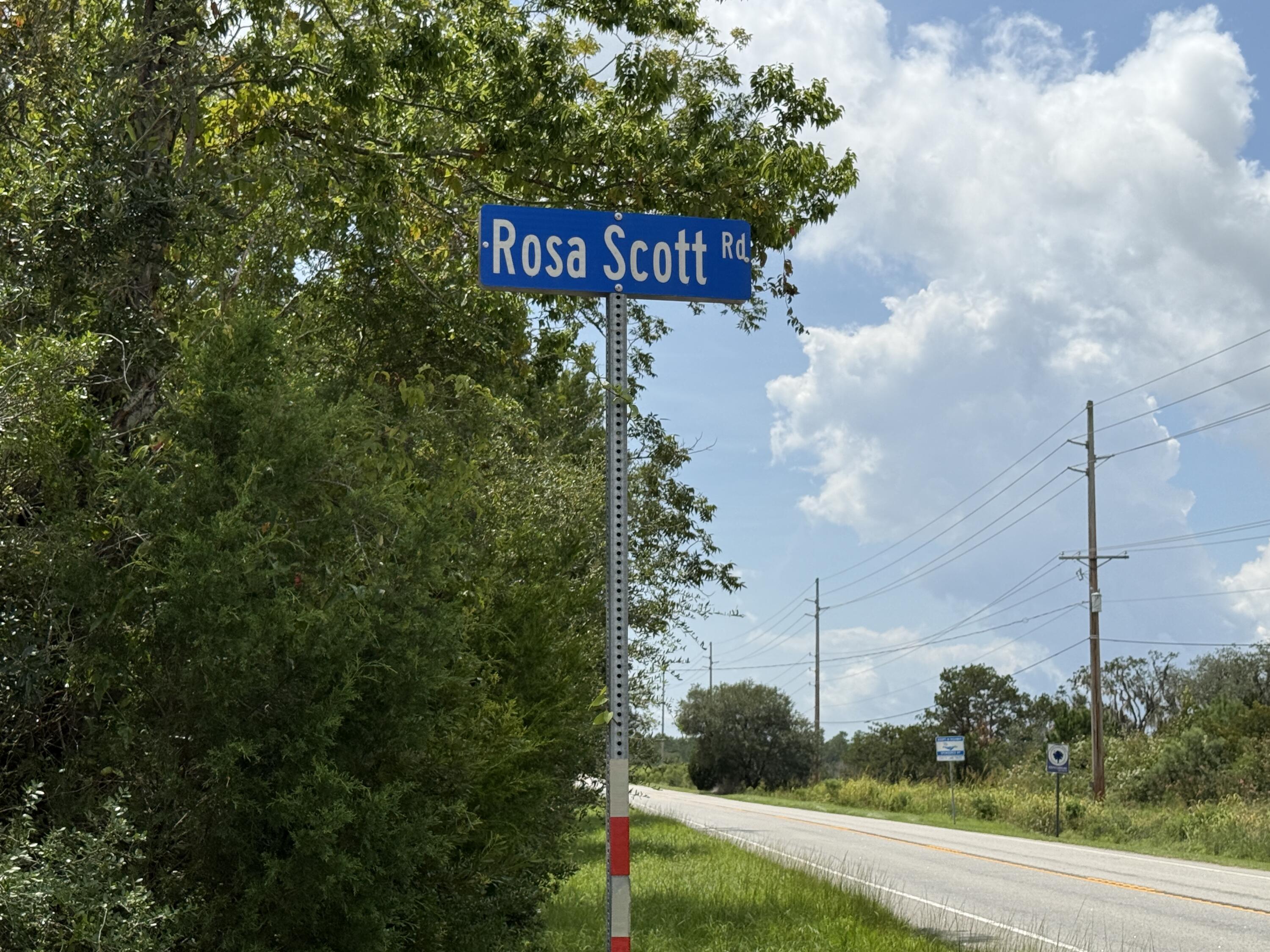 8176 Rosa Scott Road Edisto Island, SC 29438 - Photo 67 of 67 IMG_2291