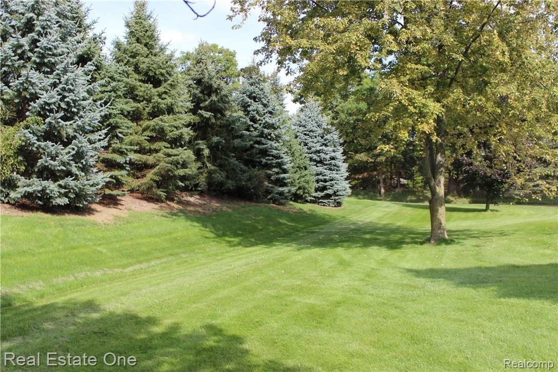 5417 Eagle Road Highland, MI 48356 - Photo 44 of 44 Large tree lined lot