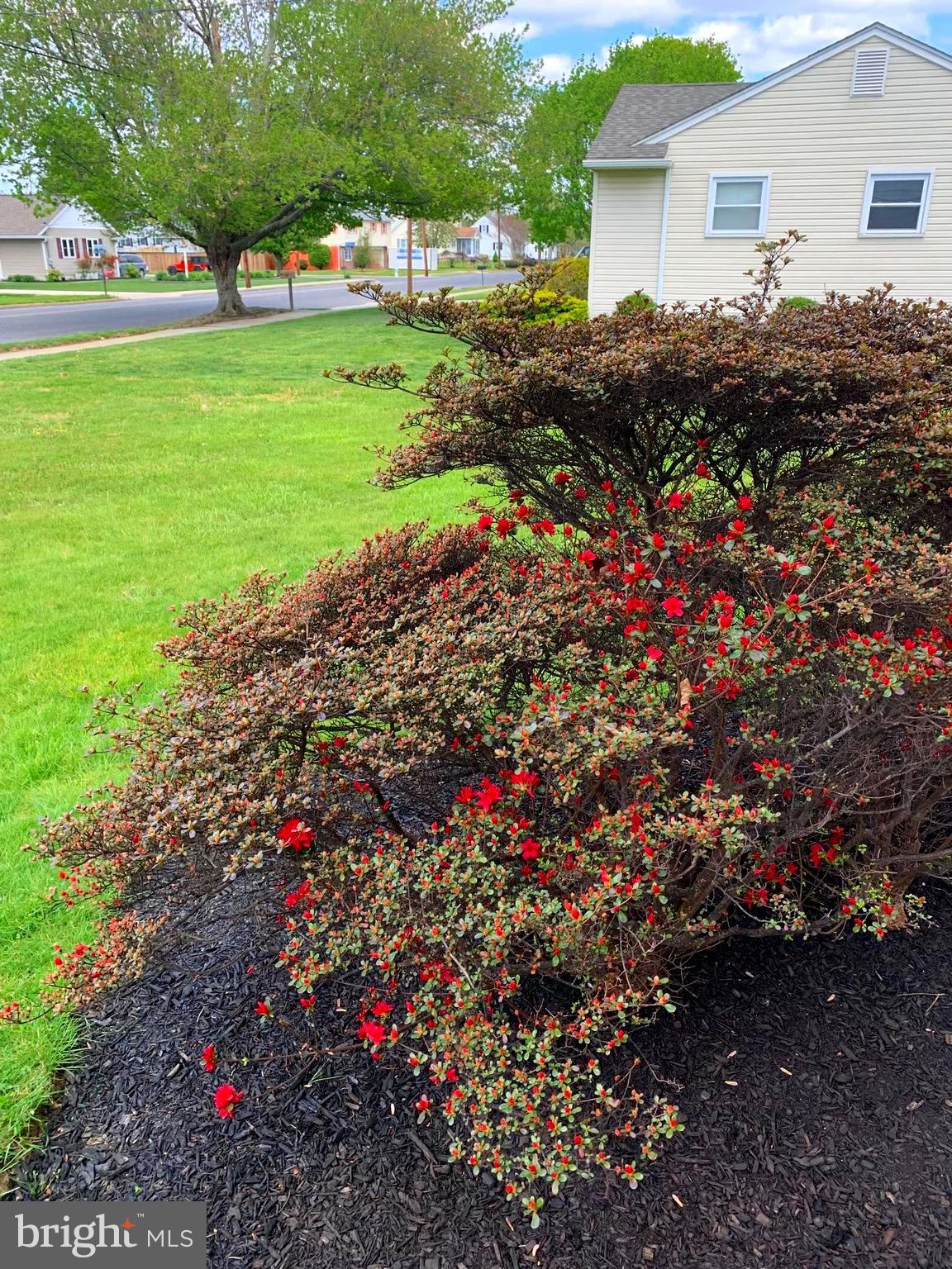 49 Fort Mott Road Pennsville, NJ 08070 - Photo 7 of 50