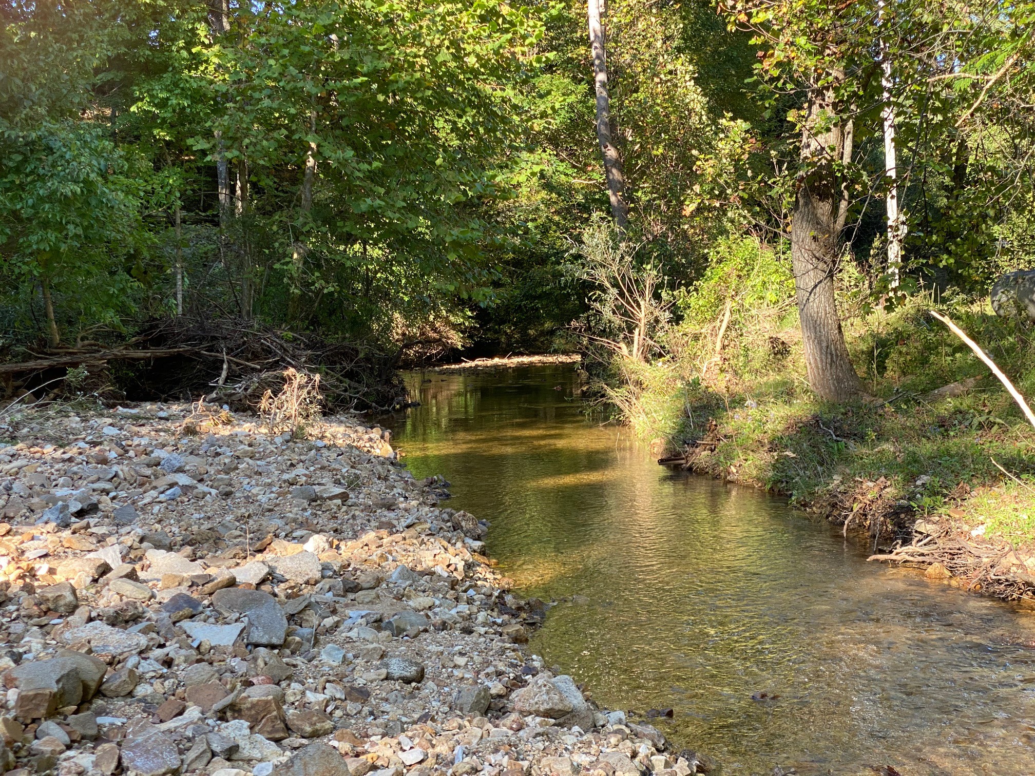 522 Camp Ground Road Erin, TN 37061 - Photo 36 of 36 Gallery Image 36