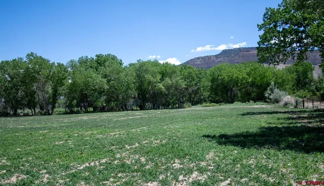 a view of grassy field with trees in the background