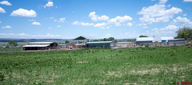 a view of a house with a big yard