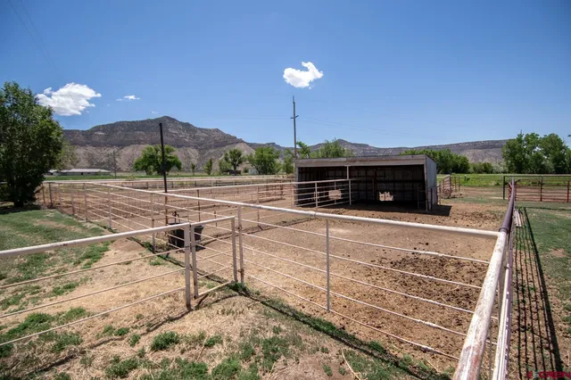 a view of a terrace with couches and wooden floor