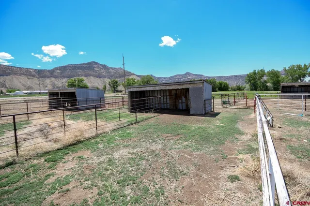 a view of a backyard with plants and a patio