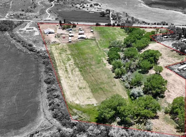 a view of a garden with plants