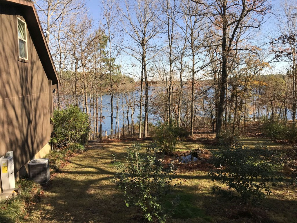 653 Edisto Lake Road Wagener, SC 29164 - Photo 25 of 33
