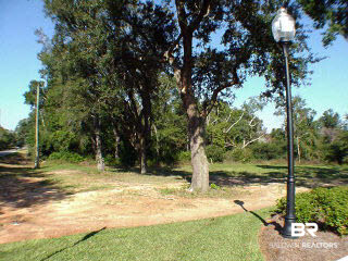 0 County Road 49 Magnolia Springs, AL 36555 - Photo 2 of 5 Additional View