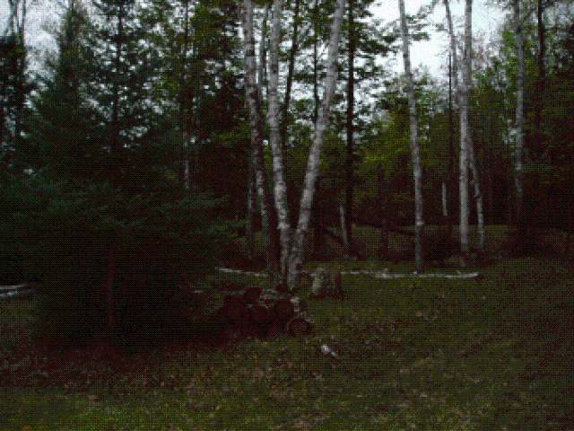 N10537 Swiss Point Road Phillips, WI 54555 - Photo 7 of 12 Gallery Image 7