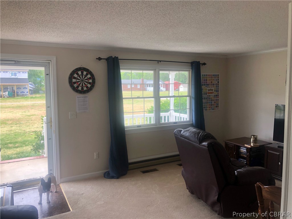 59 Sleepy Hollow Road Hudgins, VA 23076 - Photo 3 of 19