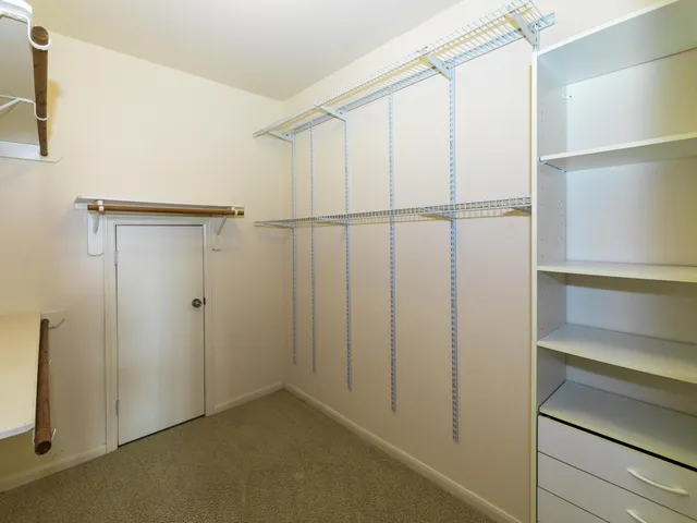 a view of a backyard with plants and a patio