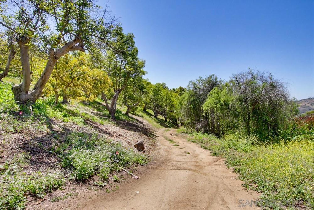 31675 Rancho Amigos Road Bonsall, CA 92003 - Photo 13 of 19