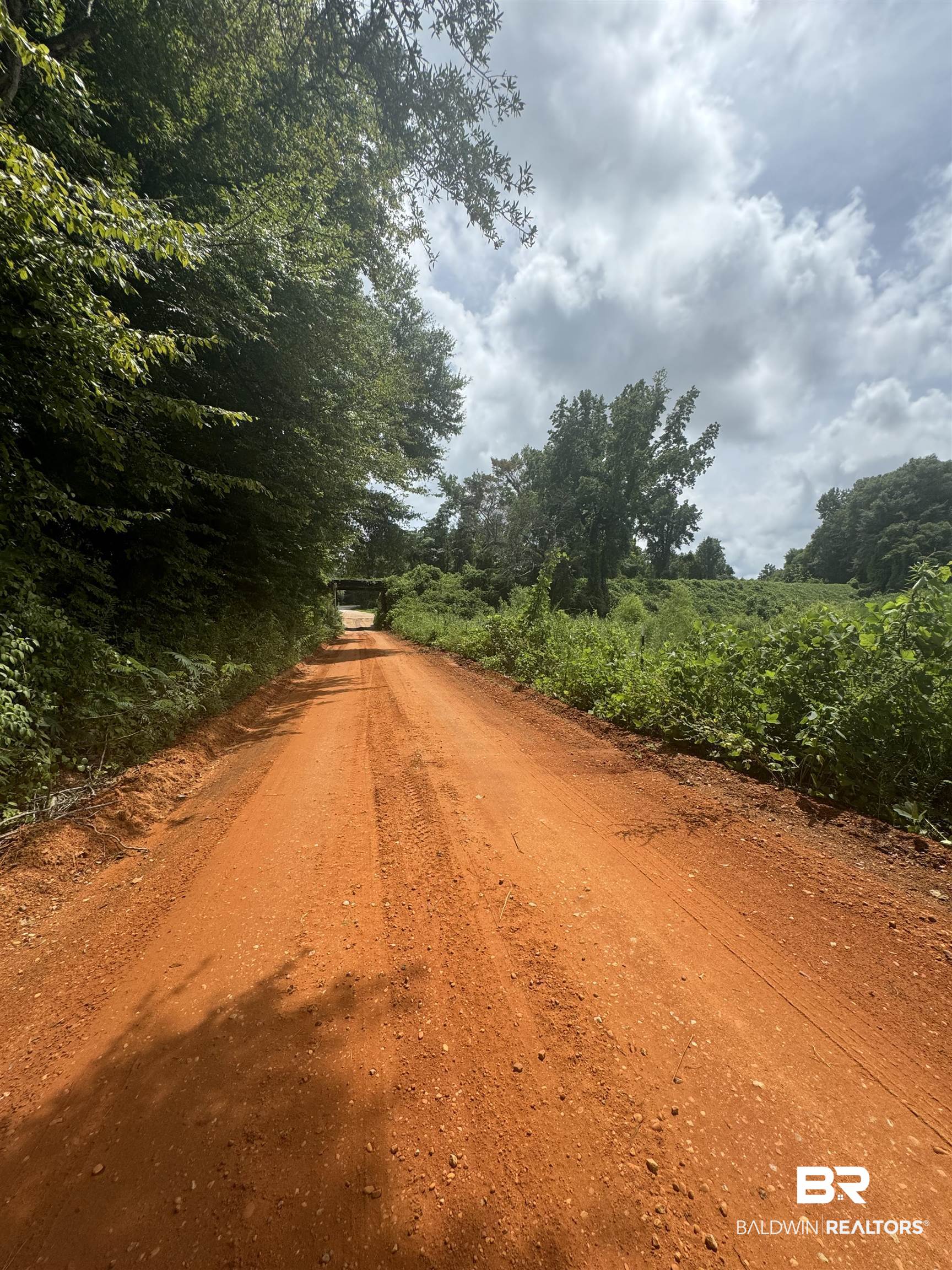 0 Deer Creek Road Monroeville, AL 36460 - Photo 12 of 19 View of street