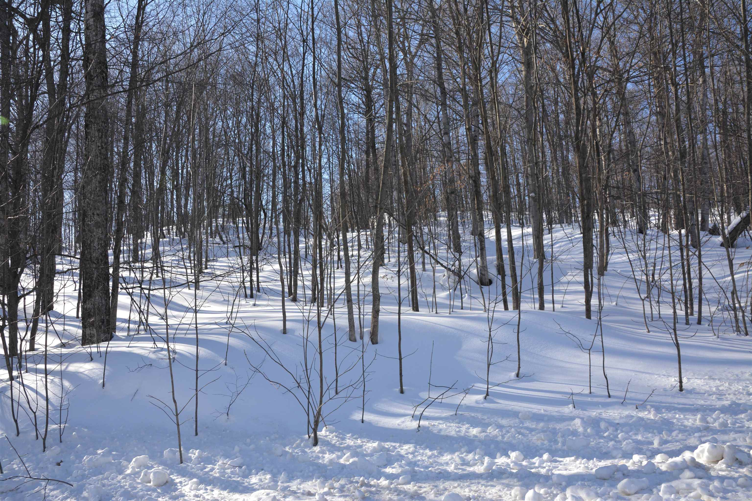 0 South Schomberg Road Cedar, MI 49621 - Photo 13 of 70