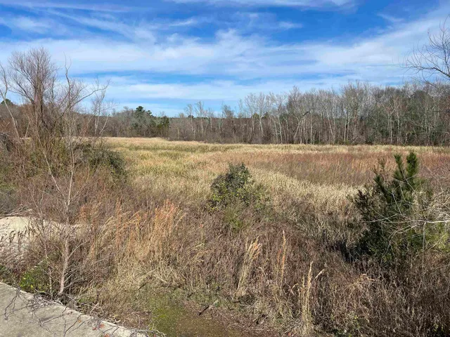 a view of outdoor space and street view