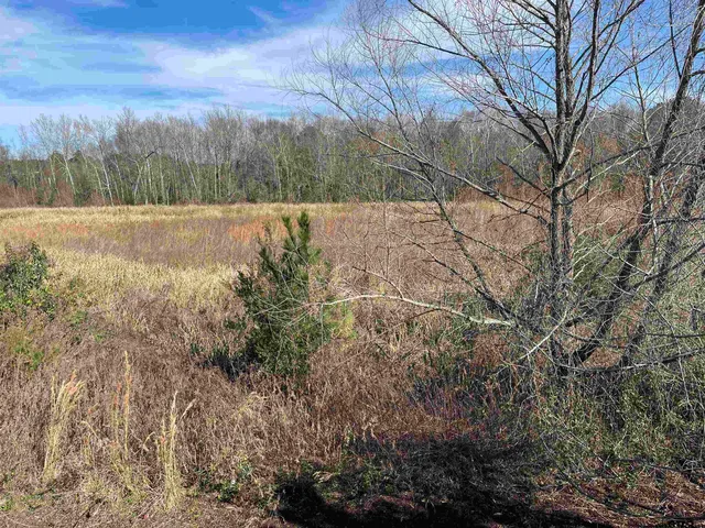 a view of a lake with a mountain