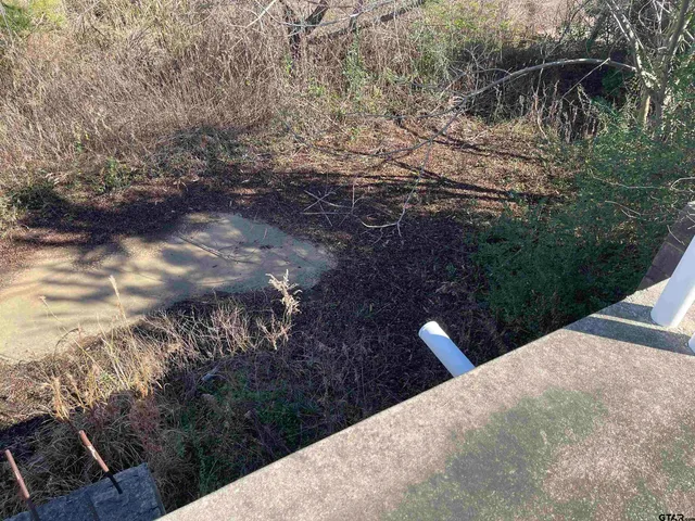 a view of backyard with green space