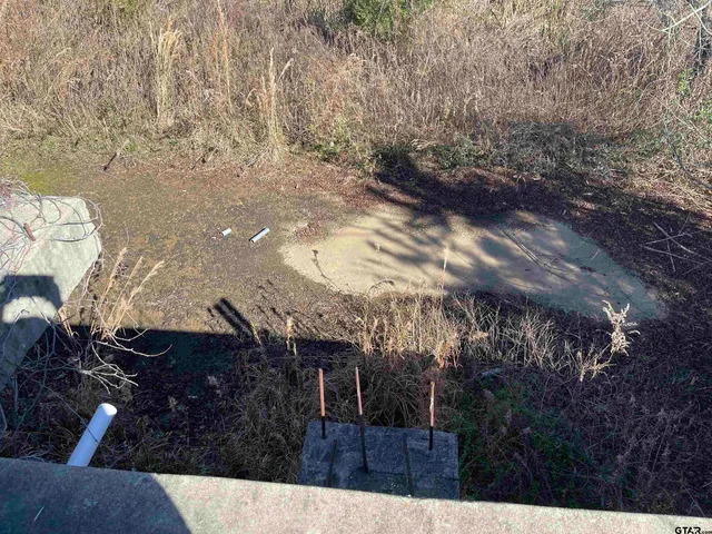 a view of dirt yard with large trees