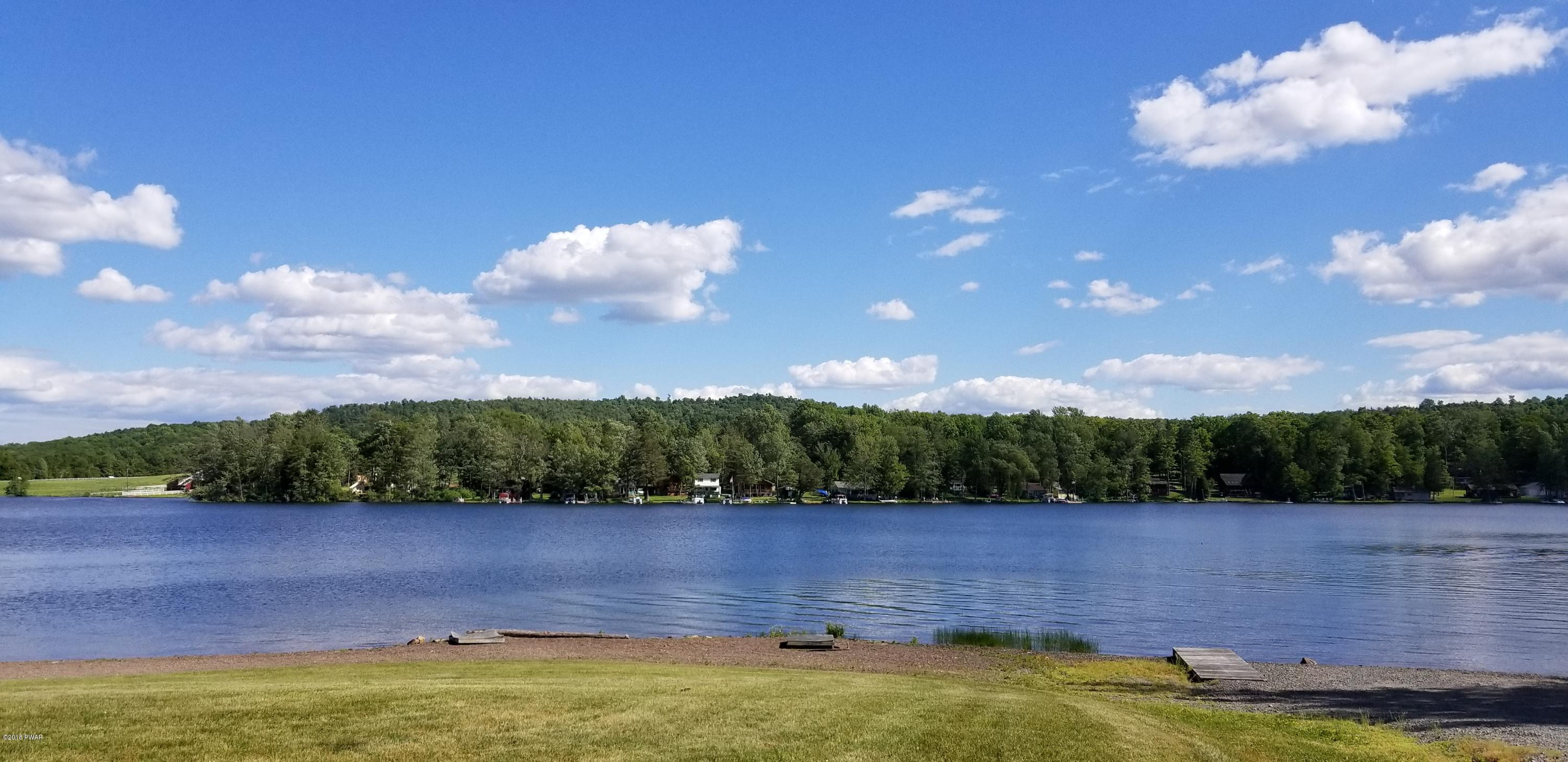 Lot 63 Old Woods Road Equinunk, PA 18417 - Photo 49 of 63
