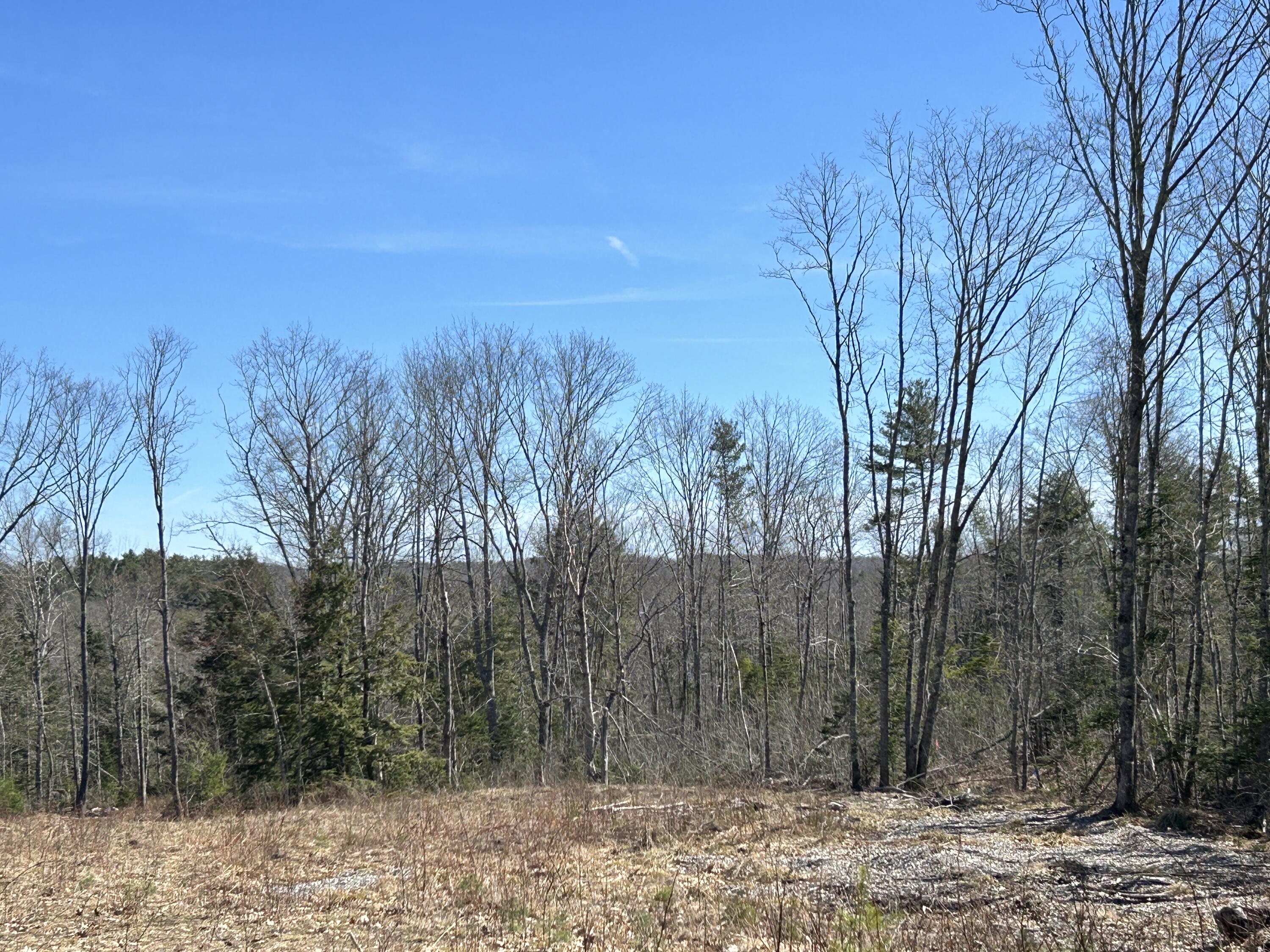 Lot 1 Chapel Road Waldoboro, ME 04572 - Photo 8 of 13 B1B4FD92-C85A-4C29-BFE2-98228FF3852F