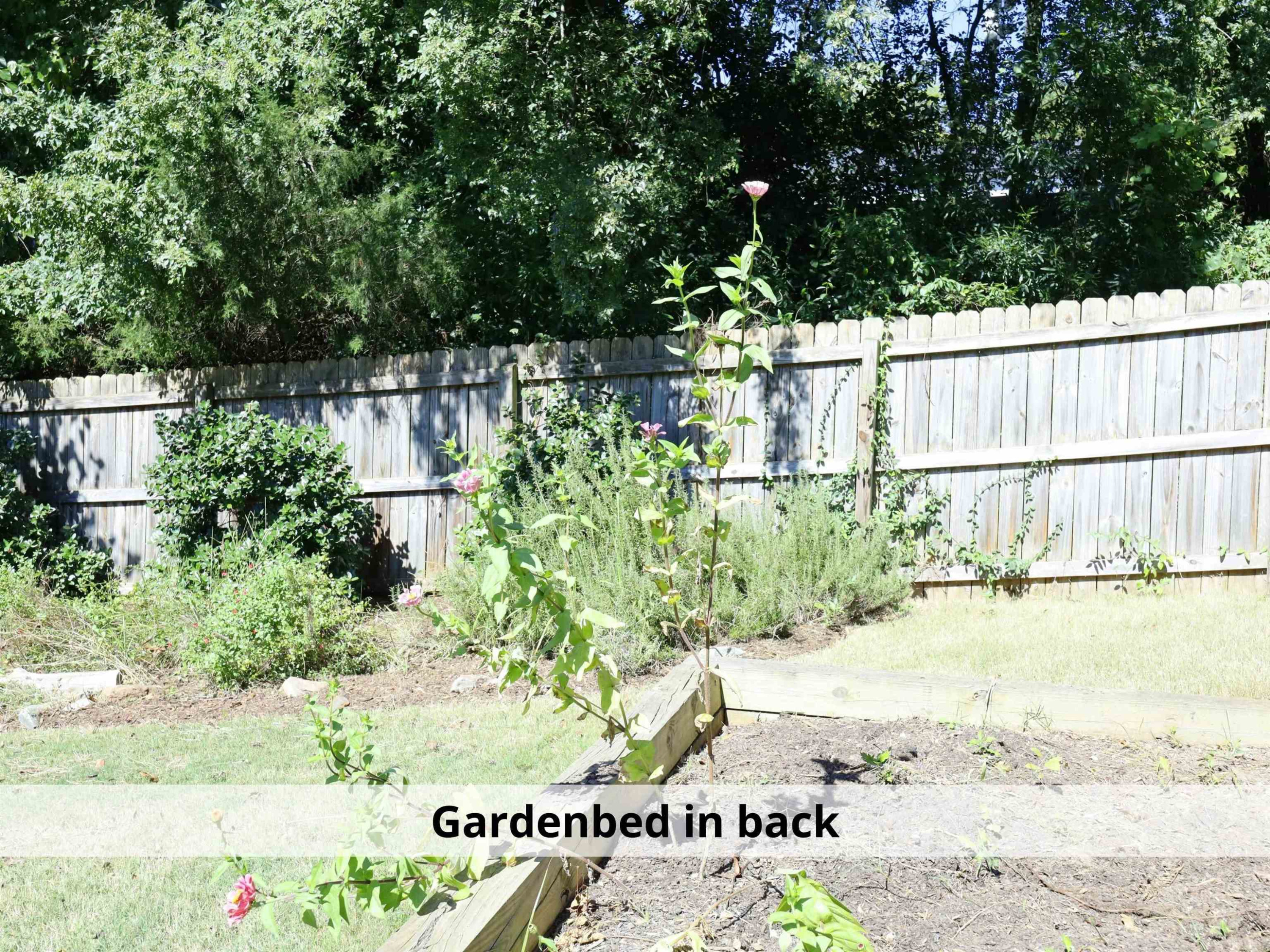 1102 South State Street Raleigh, NC 27601 - Photo 48 of 53 a view of a garden