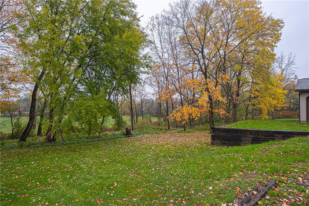 1252 Old Rte 18 Wampum, PA 16157 - Photo 21 of 22 Flat back yard with tree line