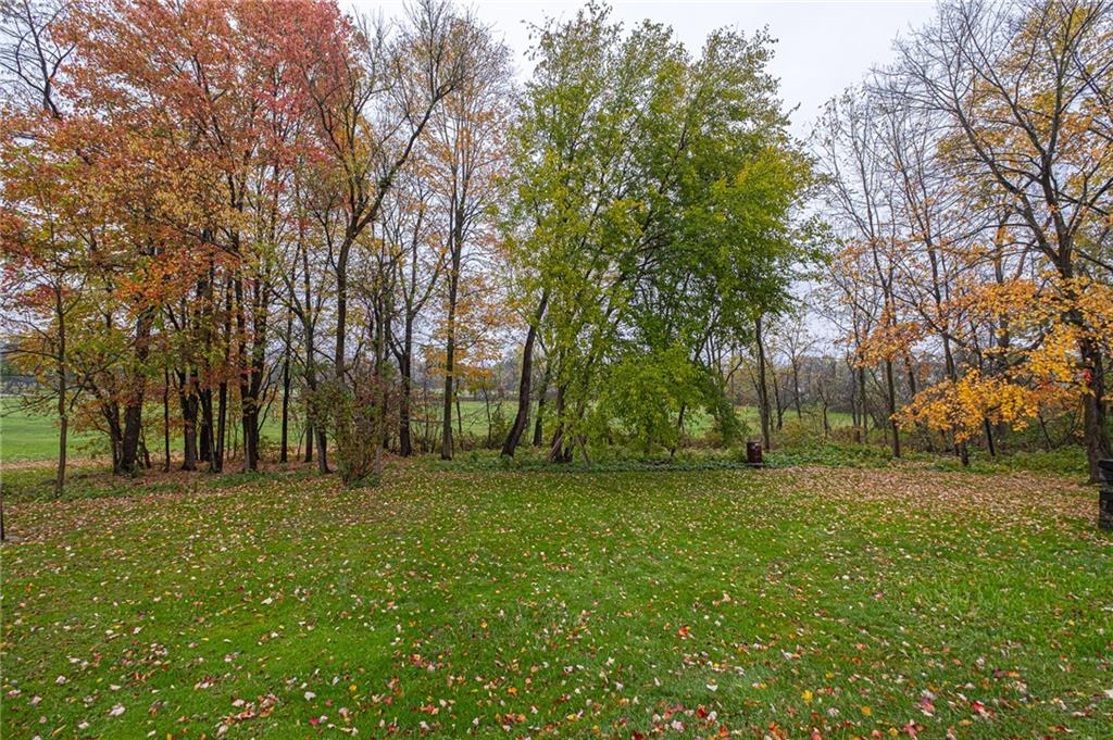 1252 Old Rte 18 Wampum, PA 16157 - Photo 22 of 22 Flat back yard with tree line