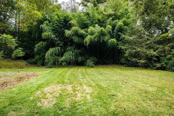 a backyard of a house with large trees and wooden fence