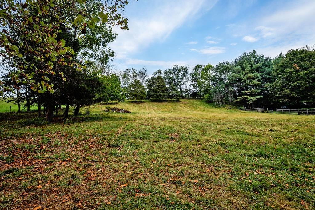 8787 Thorny Branch Road Bridgewater, VA 22812 - Photo 15 of 46 a view of a field with trees in the background