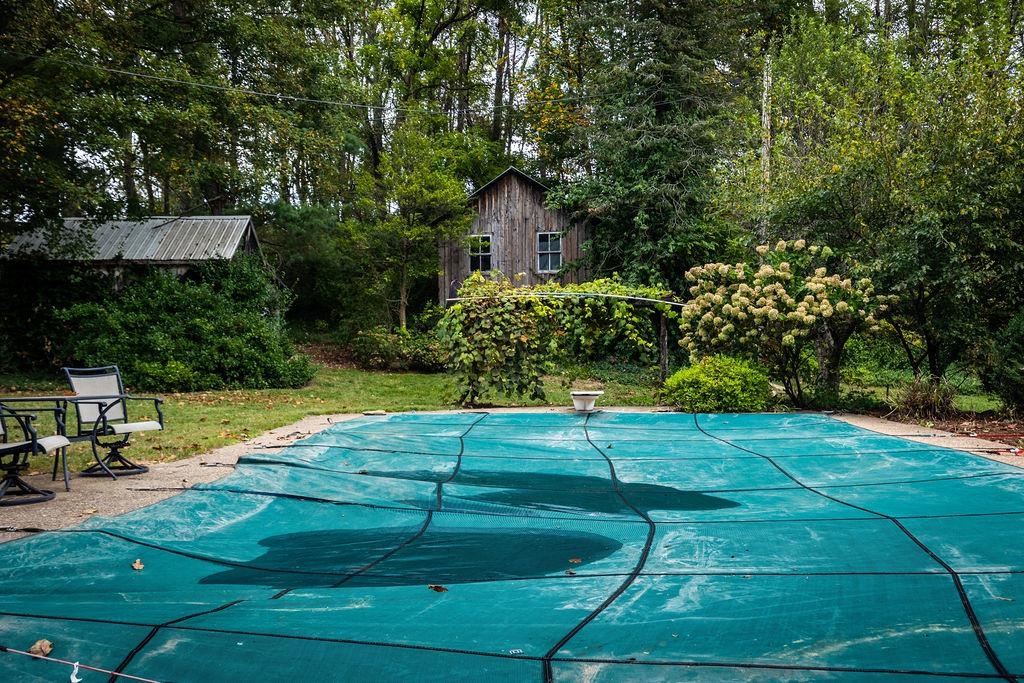 8787 Thorny Branch Road Bridgewater, VA 22812 - Photo 46 of 46 a view of a backyard