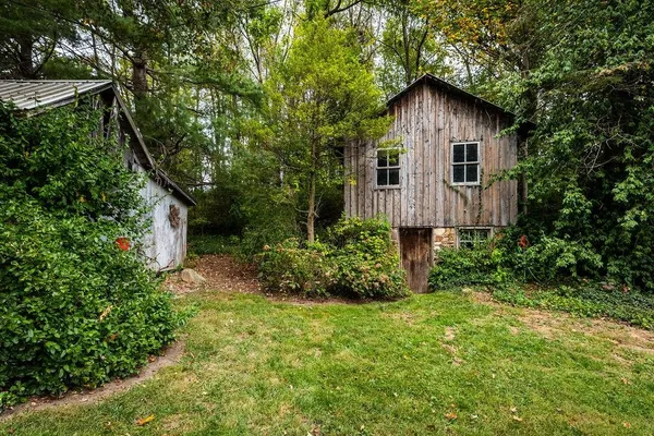 a view of a back yard with plants and large trees