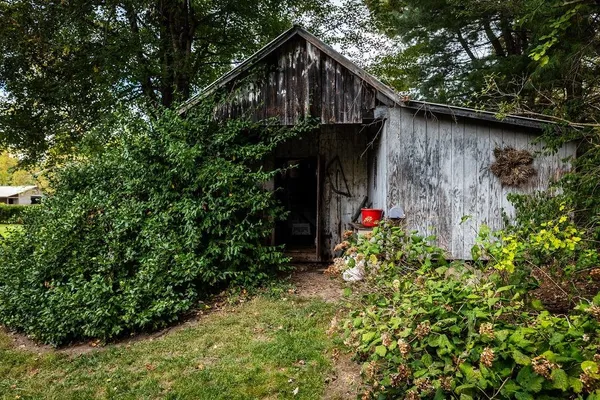 a backyard of a house with lots of green space