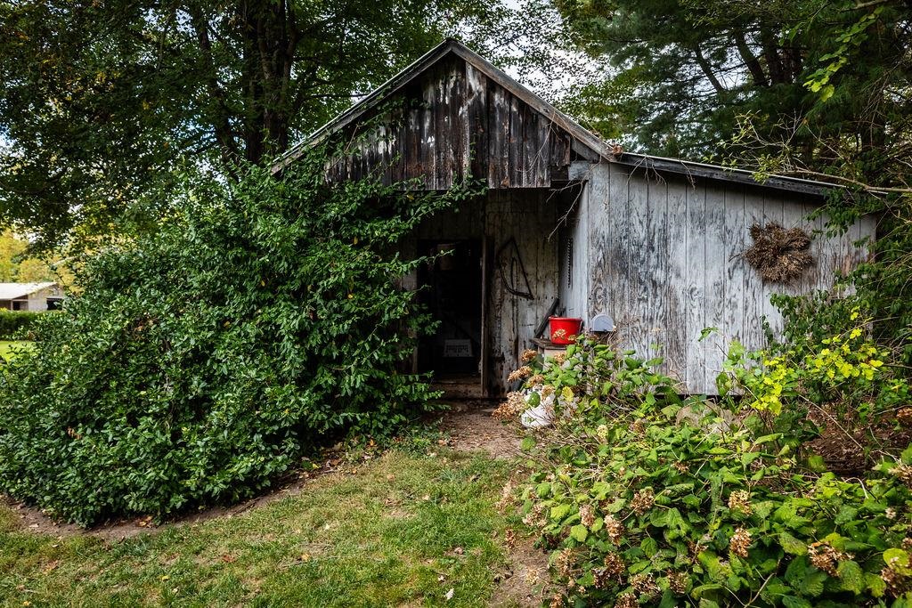8787 Thorny Branch Road Bridgewater, VA 22812 - Photo 9 of 46 a backyard of a house with lots of green space