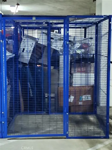 a picture of palm trees