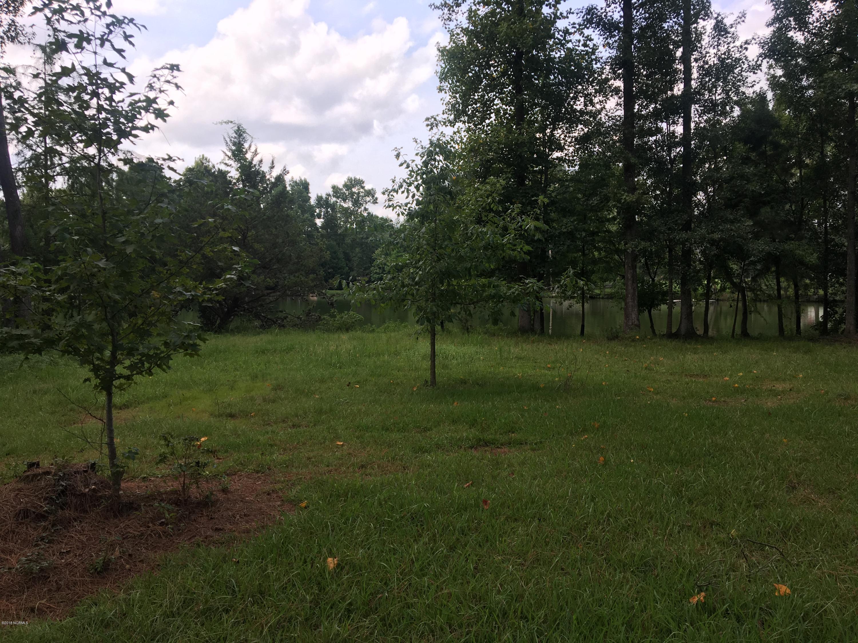 466 Cornwallis Road Teachey, NC 28464 - Photo 20 of 31 IMG_5258