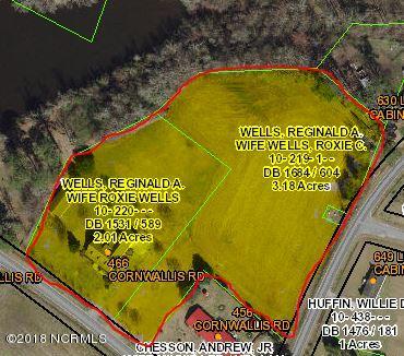 466 Cornwallis Road Teachey, NC 28464 - Photo 2 of 31 Wells property