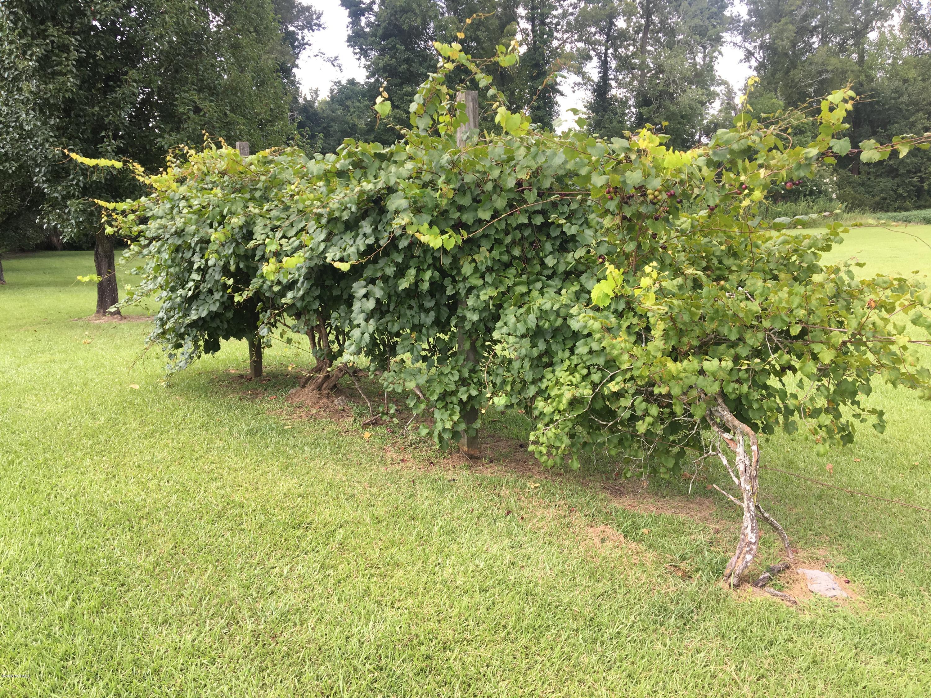 466 Cornwallis Road Teachey, NC 28464 - Photo 24 of 31 IMG_5266