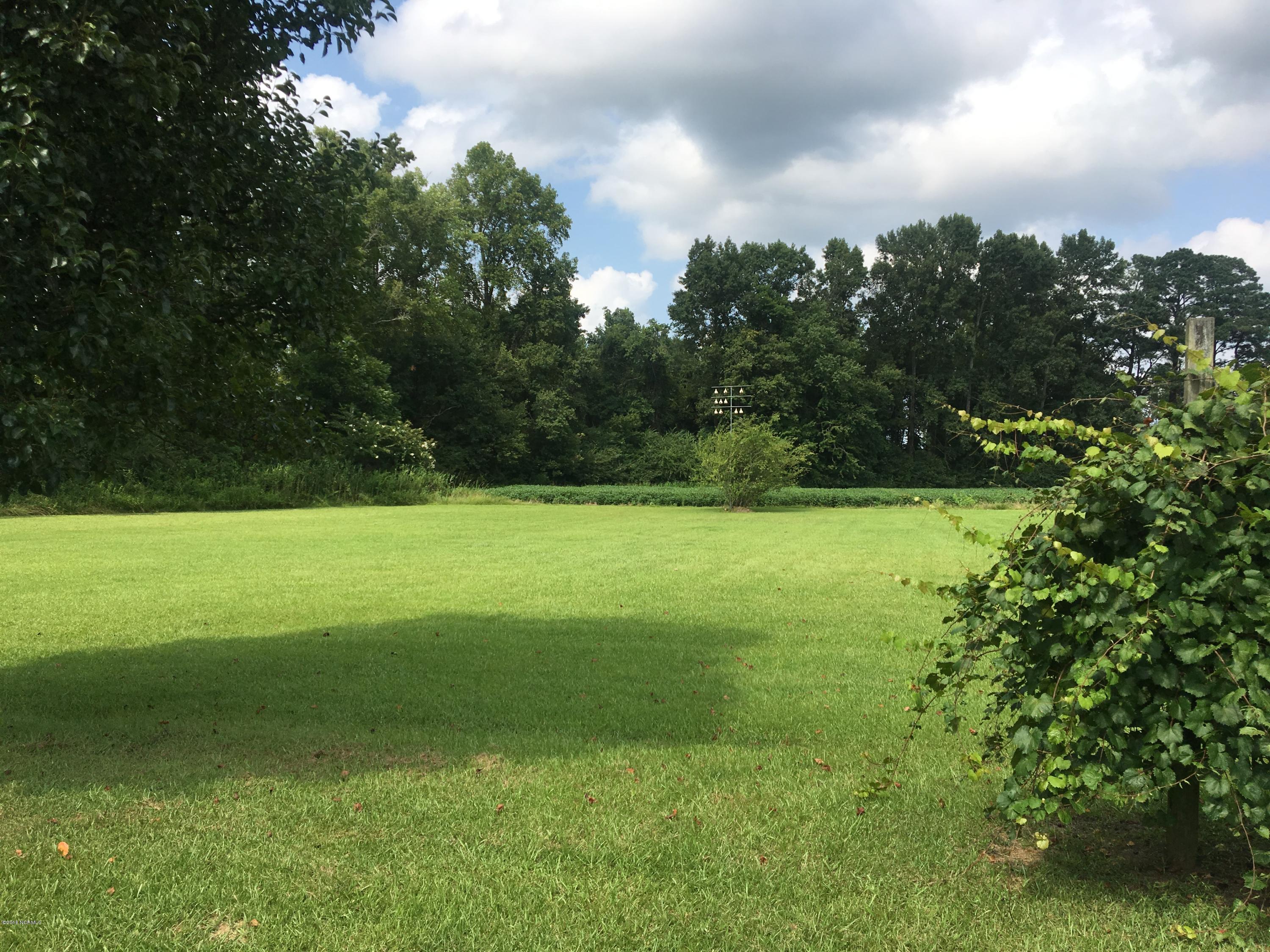 466 Cornwallis Road Teachey, NC 28464 - Photo 27 of 31 IMG_5271
