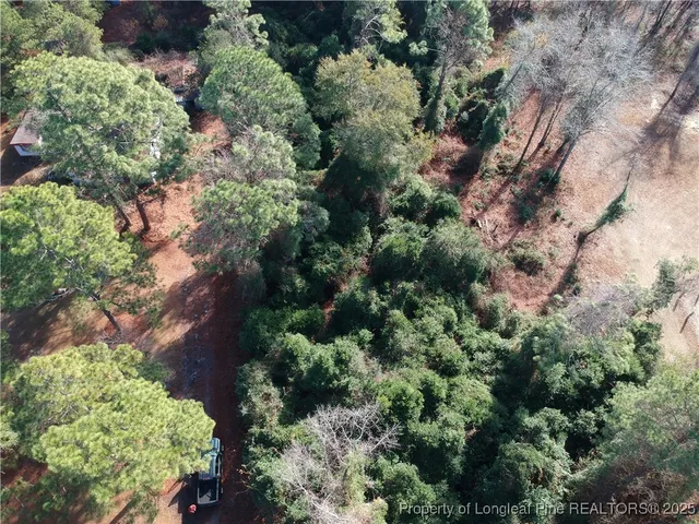 a view of a garden with plants