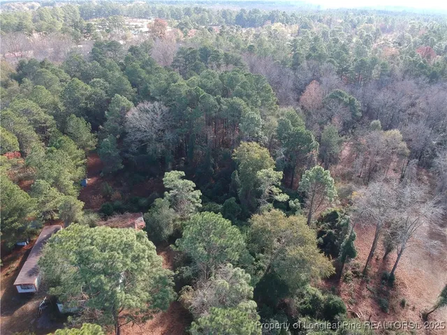 a view of a garden with trees