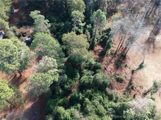 a view of a plant with lots of bushes