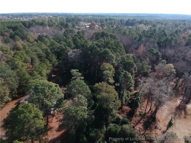 an aerial view of mountain with trees