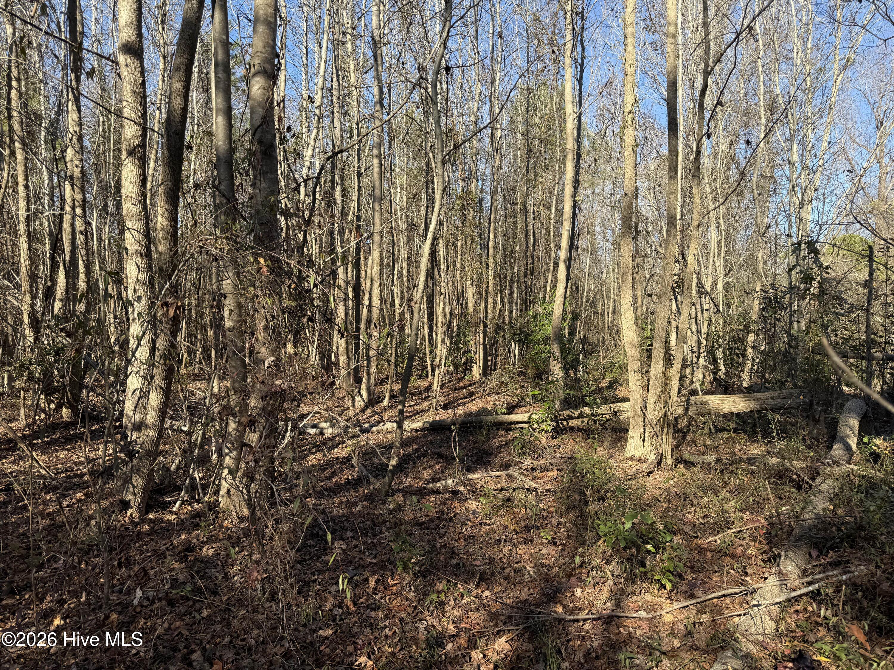 4758 Princess Ann Road Chadbourn, NC 28431 - Photo 30 of 35 Image 30
