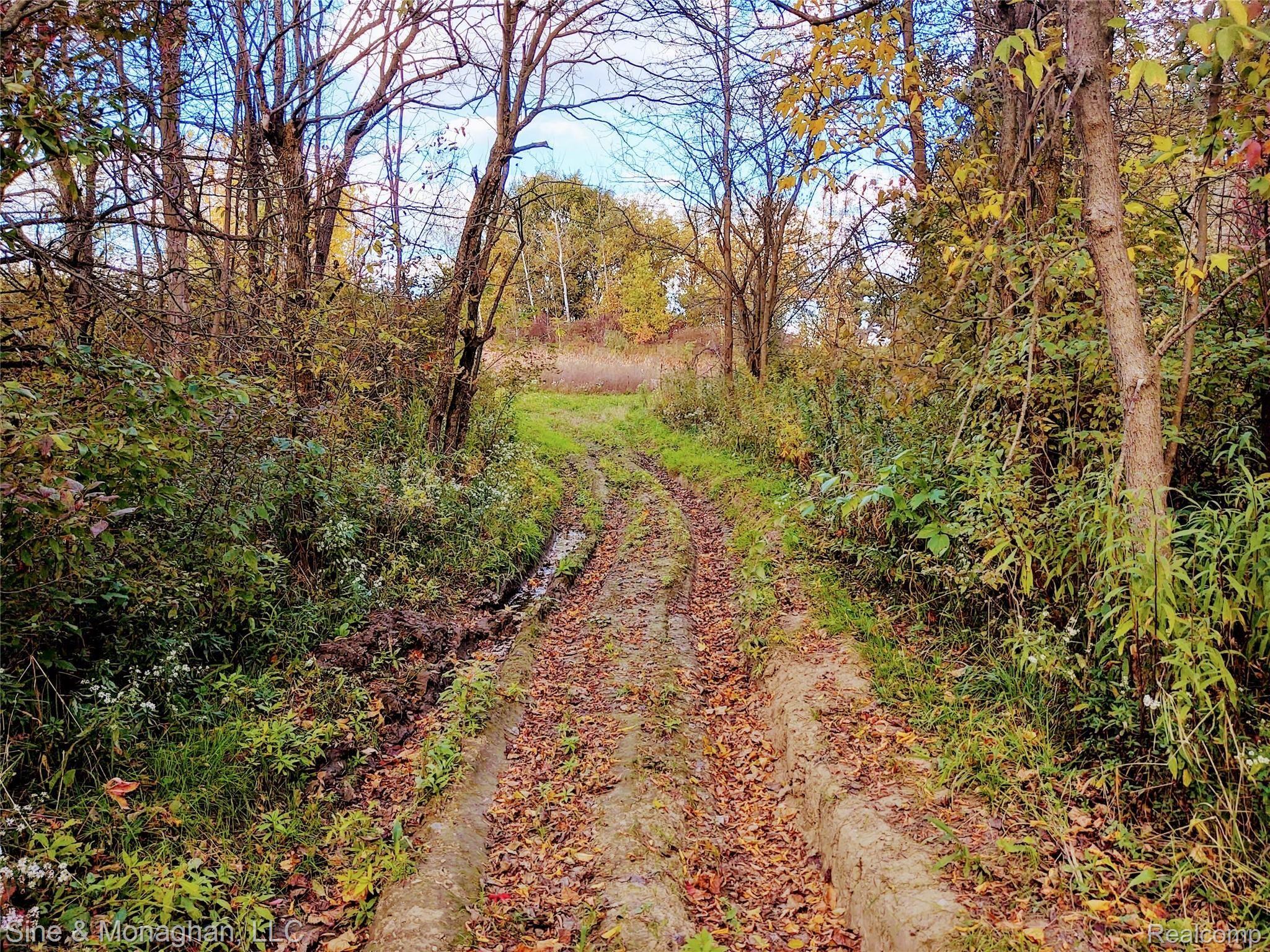 8150 Rattle Run Road Columbus, MI 48063 - Photo 26 of 38 IMG_20201007_164452839_HDR.jpg