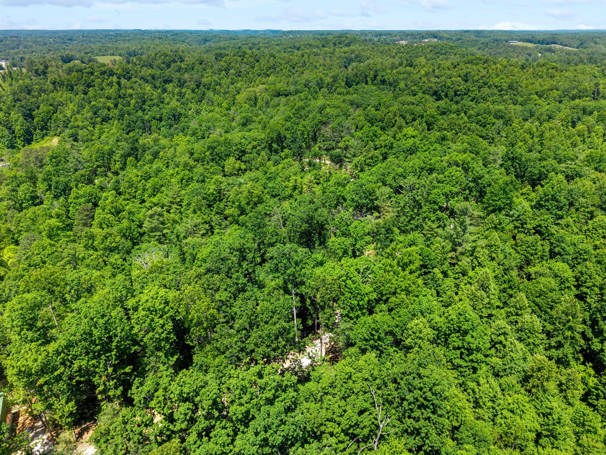 181 High Ridge Road Campton, KY 41301 - Photo 7 of 8 27-web-or-mls-DJI_20260529123328_0063_D