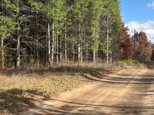 $45,000 | 0 West Tamarack Road, Newaygo, MI 49337