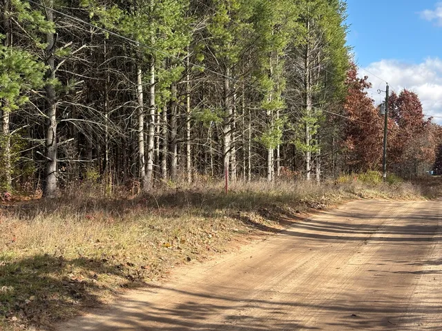 $45,000 | 0 West Tamarack Road, Newaygo, MI 49337