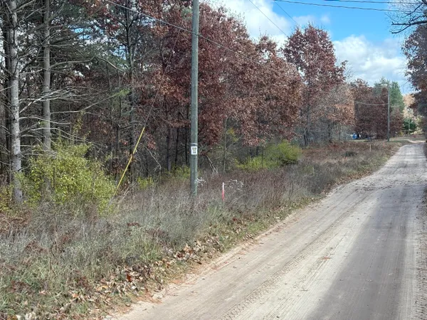 $45,000 | 0 West Tamarack Road, Newaygo, MI 49337