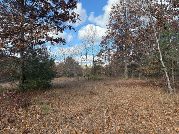 $45,000 | 0 West Tamarack Road, Newaygo, MI 49337