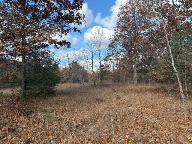 $45,000 | 0 West Tamarack Road, Newaygo, MI 49337